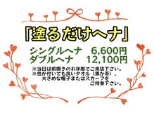 カミザイク 万里(kamizaiku BANRI)の雰囲気（本物のヘナはこれができるんです！）