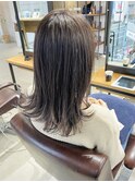 secret highlight"sheer grege"【Steed/立川】