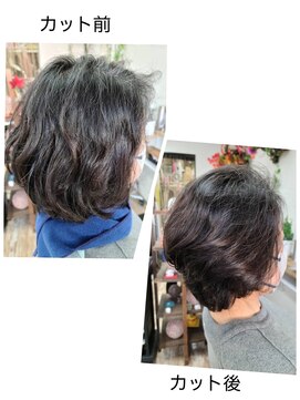 パピー ミディアムショート