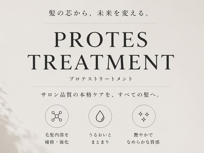 ビスト(vist)の写真