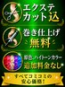 100%人毛シールエクステ70枚 「エクステカット込」