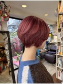 ミニウルフチェリーブラウンショートベリーショート