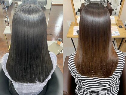 ジェネスタ(GENESTA)の写真