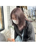ケアブリーチラベンダーグレージュ顔周りレイヤーカット韓国ヘア