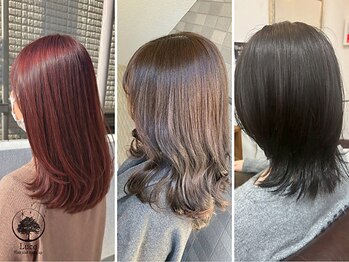 ルーチェ(Luce)の写真/鶴川でここだけ!!AVEDAオーガニックカラー取り扱いサロン◆植物成分93％の髪に優しいダメージレスカラー◆