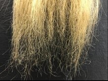 ヘアー ゼーレ(hair Seele)
