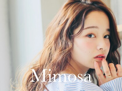 ミモザ(Mimosa)の写真