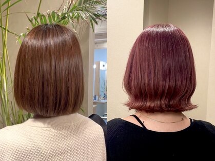 ベースヘアー(BASE hair)の写真