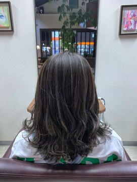 サロン クラッチ クリエイティブ コンセプト(salon CLUTCH creative concept) silver ash × highlight