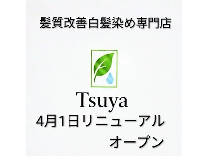 ツヤ(Tsuya)の写真