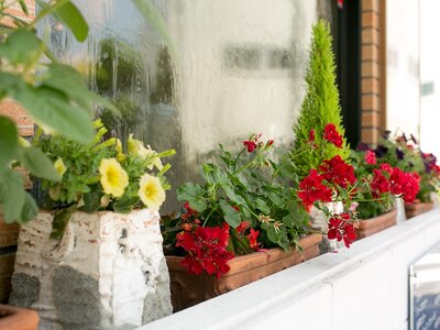 季節のお花でお客様をお迎えいたします