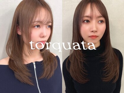 トルクアータ 伏見(torquata)の写真