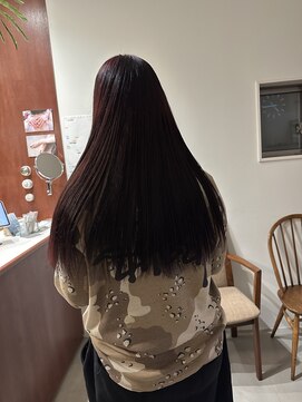 デン(den) ダークチェリーレッド