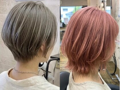 ビバーチェ(Vivace)の写真