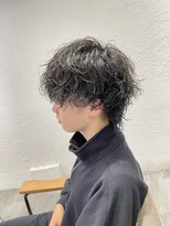 カルロイースタイル(CARLO e-style)&nbsp;ツイスパウルフ