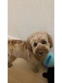ズー 志木東口2F店(ZOO) 愛犬:ダップー犬
