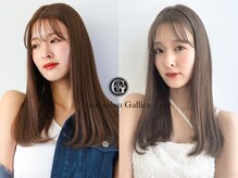 ガリカ 大名(Gallica)
