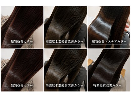 リアン(Lien)の写真