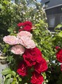フッタ(Futta)&nbsp;四季を通して色々なバラが咲いています。