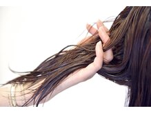 ソルシエールドゥアラジン(Sorciere de aladdin)の雰囲気（独自の研究に基づき、確実に毛髪を再生に導きます。）
