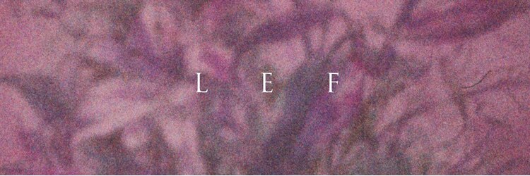 レフ(LEF)のサロンヘッダー