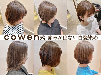 コーエン(cowen)の写真