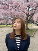 フェイスレイヤー
