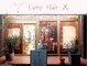 ランプヘアー(LAMP HAIR)の写真