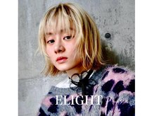 エライトランドマーク(ELIGHT LM)