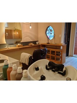 マッサージの気持ち良さはもちろん、頭皮の汚れを除去しながら、頭皮環境を整えます。癒しのひと時を…。