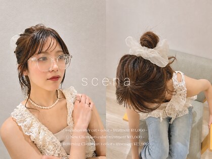 シーナ(scena)の写真