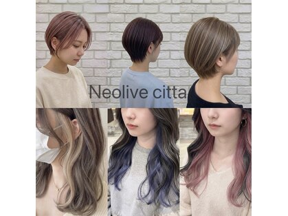 ネオリーブ チッタ 阿佐ヶ谷店(Neolive citta)の写真
