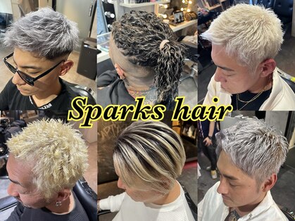 スパークスヘア(Sparks hair)の写真