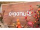 リガナッツ 十条店(Riganuts)の写真