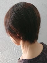 ブルーデイジー(BLUE DAISY)