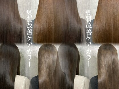 ディーボーイリタ 光の森(D-BOY Lita)の写真