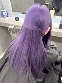 パープルヘア