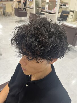 ワークスヘアー(WORKS HAIR) プードルパーマ