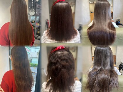 ソムリ(Sommeli)の写真