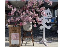 アトリエリント(atelier rinto)の雰囲気（季節のイベントを不定期開催しております。）
