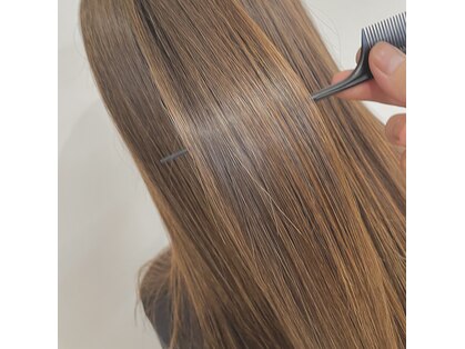ウィットヘアー(wit hair)の写真