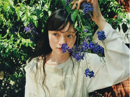 ニート(NEAT)の写真