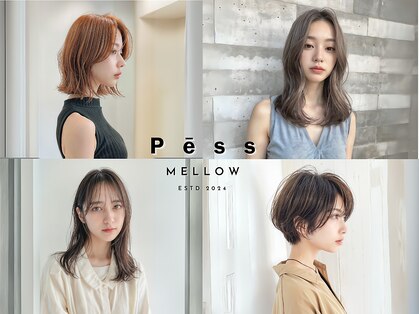 ペス メロウ(Pess mellow)の写真