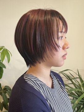 ルートヴィッヒ(Ludwig) アンブレラカラー　ショートウルフ