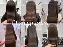 トルクアータ 伏見(torquata)