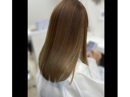 ステデイ(steady)の写真