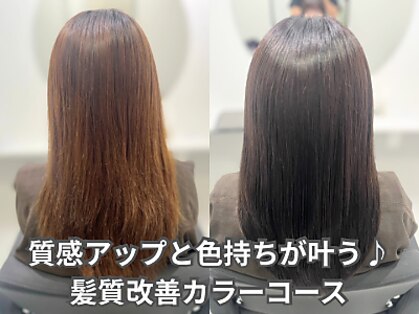 ベルーア(BELLUA)の写真