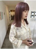 ピンクラベンダー