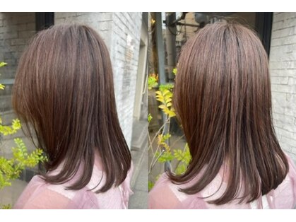 リコヘア(Lico hair)の写真