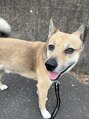 クレーデ 姪浜店(Crede) 6歳の雑種犬飼っています!毎日の癒しです♪